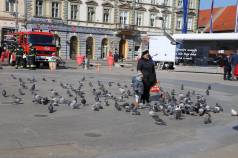 Mini IMG 2638